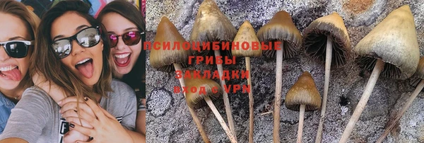 винт Усинск