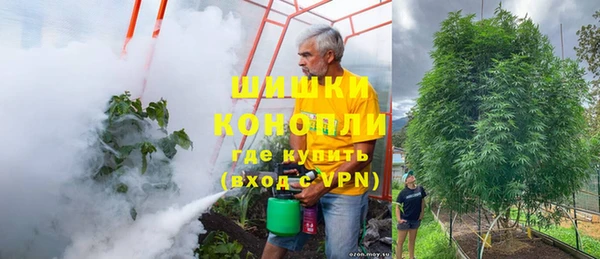 ешки Белокуриха