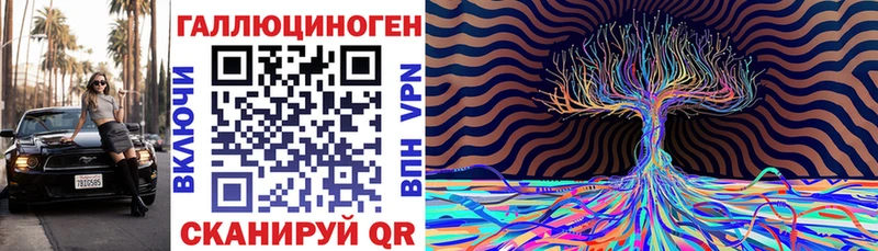 где найти наркотики  Южно-Сухокумск  блэк спрут tor  Галлюциногенные грибы Psilocybe 